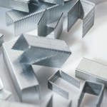 Sąsagėlės ir išsegikliai